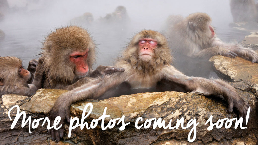 Coming soon